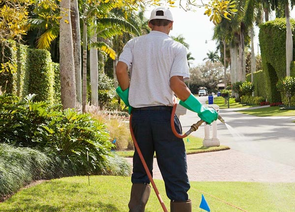 About Dilley TX Pest Control